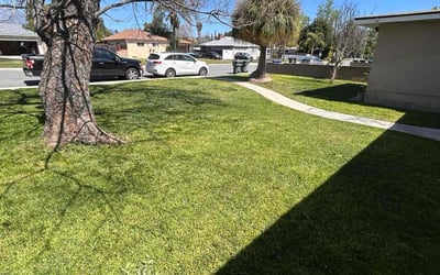 Photo of Sandra H.'s yard after getting lawn care in Pomona, CA