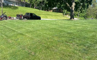 Photo of Dana F.'s yard after getting lawn care in Gary, IN