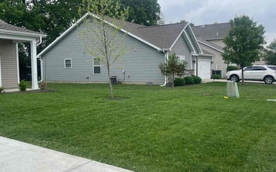 Photo of Jim T.'s yard after getting lawn care in Englewood, OH
