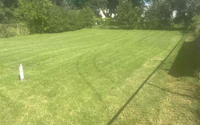 Photo of shaun t.'s yard after getting lawn care in Liverpool, NY