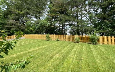 Photo of Zaineb I.'s yard after getting lawn care in Orchard Park, NY