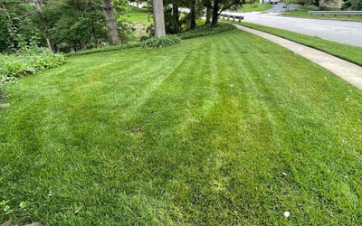 Photo of Stacy S.'s yard after getting lawn care in Springfield, VA