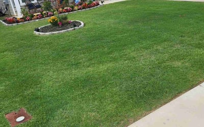 Photo of Jeannette L.'s yard after getting lawn care in Columbus, GA