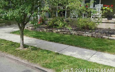 Photo of Sylvia S.'s yard after getting lawn care in Buffalo, NY