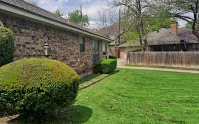 Photo of Ashley W.'s yard after getting lawn care in Duncanville, TX