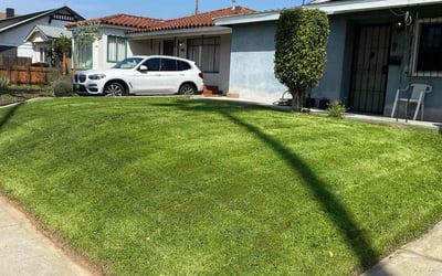 Photo of Briana G.'s yard after getting lawn care in Los Angeles, CA