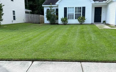 Photo of Catherine P.'s yard after getting lawn care in Goose Creek, SC