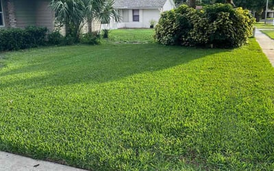 Photo of Adam W.'s yard after getting lawn care in Katy, TX