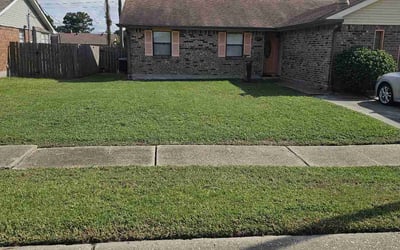 Photo of Drionne A.'s yard after getting lawn care in Harvey, LA