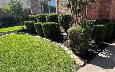 Photo of Bernice H.'s yard after getting lawn care in Rosharon, TX