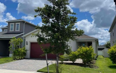 Photo of James W.'s yard after getting lawn care in Zephyrhills, FL