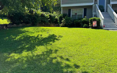 Photo of Jarrett F.'s yard after getting lawn care in College Park, GA