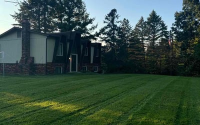 Photo of Donald P.'s yard after getting lawn care in Howell, MI