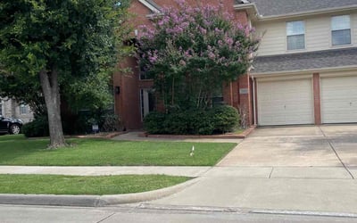 Photo of Jesse Z.'s yard after getting lawn care in Weymouth, MA