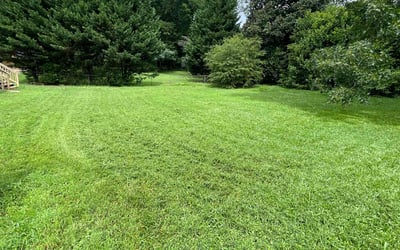 Photo of Jordan G.'s yard after getting lawn care in Indianapolis, IN