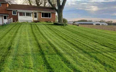 Photo of Daniel R.'s yard after getting lawn care in Louisville, OH