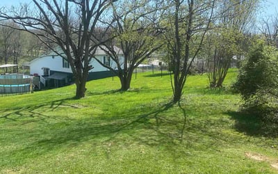 Photo of Vendra C.'s yard after getting lawn care in Huntington, WV