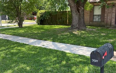 Photo of Anne P.'s yard after getting lawn care in Malibu, CA