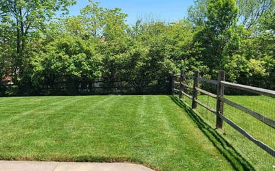 Photo of Pam T.'s yard after getting lawn care in Milford, OH