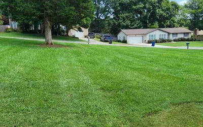 Photo of Brian L.'s yard after getting lawn care in Corryton, TN
