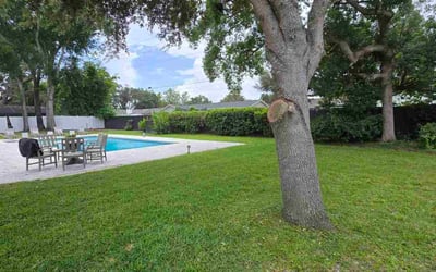 Photo of Nanette L.'s yard after getting lawn care in Saint Cloud, MN