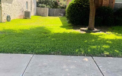 Photo of Dean H.'s yard after getting lawn care in Cedar Park, TX