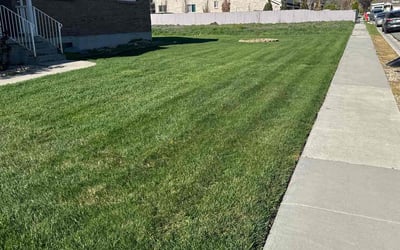 Photo of Amy C.'s yard after getting lawn care in Riverton, UT