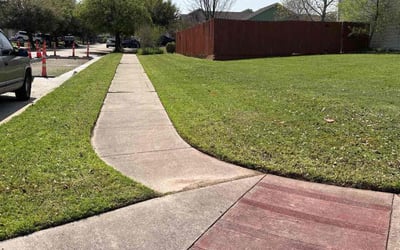 Photo of Melanie H.'s yard after getting lawn care in Flushing, NY