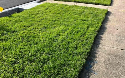 Photo of Silk R.'s yard after getting lawn care in Orland, IL