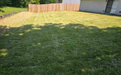 Photo of Shawn W.'s yard after getting lawn care in Abilene, TX