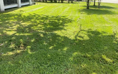Photo of Rachel C.'s yard after getting lawn care in Murfreesboro, TN