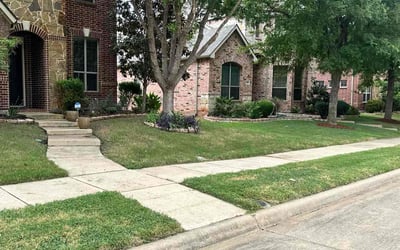 Photo of Sarah V.'s yard after getting lawn care in Lake Charles, LA