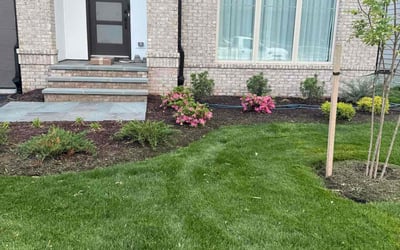 Photo of Elizabeth S.'s yard after getting lawn care in Middletown, PA