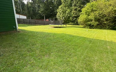 Photo of Michael K.'s yard after getting lawn care in Granbury, TX