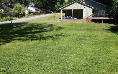Photo of Margaret A.'s yard after getting lawn care in Greenville, SC