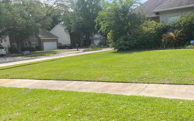 Photo of Jalisa B.'s yard after getting lawn care in Slidell, LA