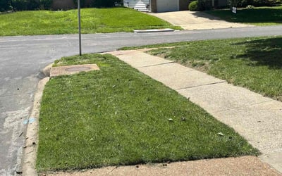 Photo of Layan D.'s yard after getting lawn care in Snellville, GA