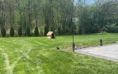 Photo of Stephen C.'s yard after getting lawn care in Oswego, NY