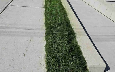 Photo of Bob D.'s yard after getting lawn care in Palisades Park, NJ
