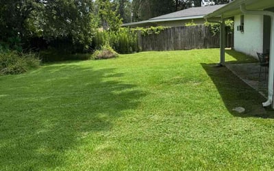 Photo of Mary C.'s yard after getting lawn care in Alhambra, CA