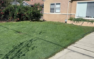Photo of Eric H.'s yard after getting lawn care in Davis, CA