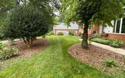 Photo of Simone S.'s yard after getting lawn care in Greensboro, NC