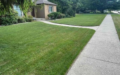 Photo of Fakhree T.'s yard after getting lawn care in Union, NJ