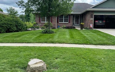 Photo of Joy M.'s yard after getting lawn care in Ankeny, IA