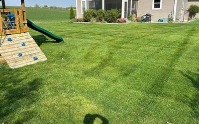 Photo of Suzann M.'s yard after getting lawn care in East Bethel, MN