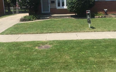 Photo of Juana W.'s yard after getting lawn care in Long Branch, NJ