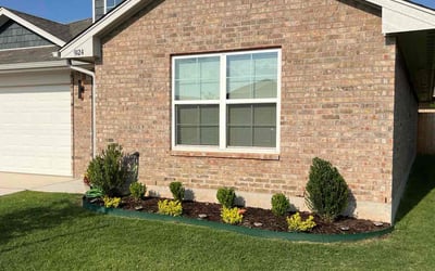 Photo of Nick Y.'s yard after getting lawn care in Aurora, CO