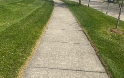 Photo of Henrique S.'s yard after getting lawn care in Swartz Creek, MI