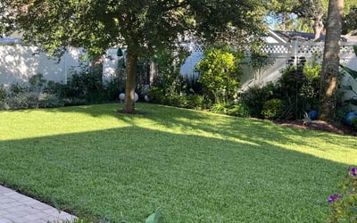 Photo of Deborah S.'s yard after getting lawn care in Callahan, FL