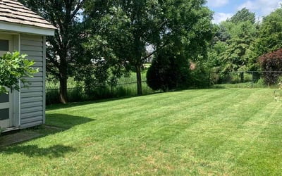 Photo of Anjre M.'s yard after getting lawn care in Farmington, MN